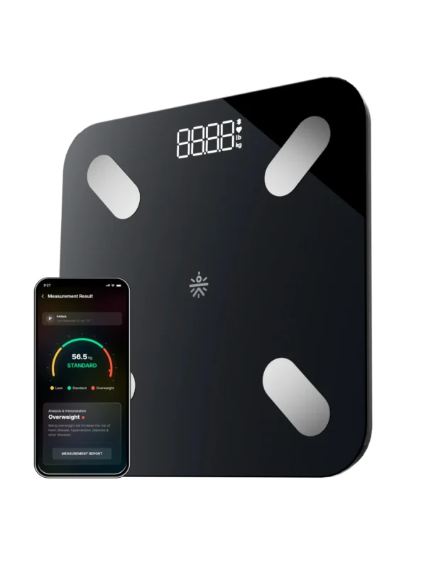 a_ef5611ba-4bba-43f9-ac8f-9d0512633f34 Weighing scale for rent