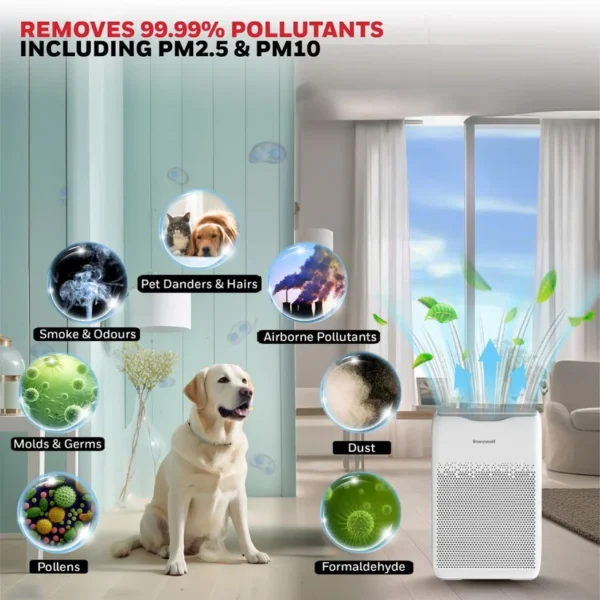 6_f903c48b-a144-4aa3-b62a-6810d1697570 Air Purifier